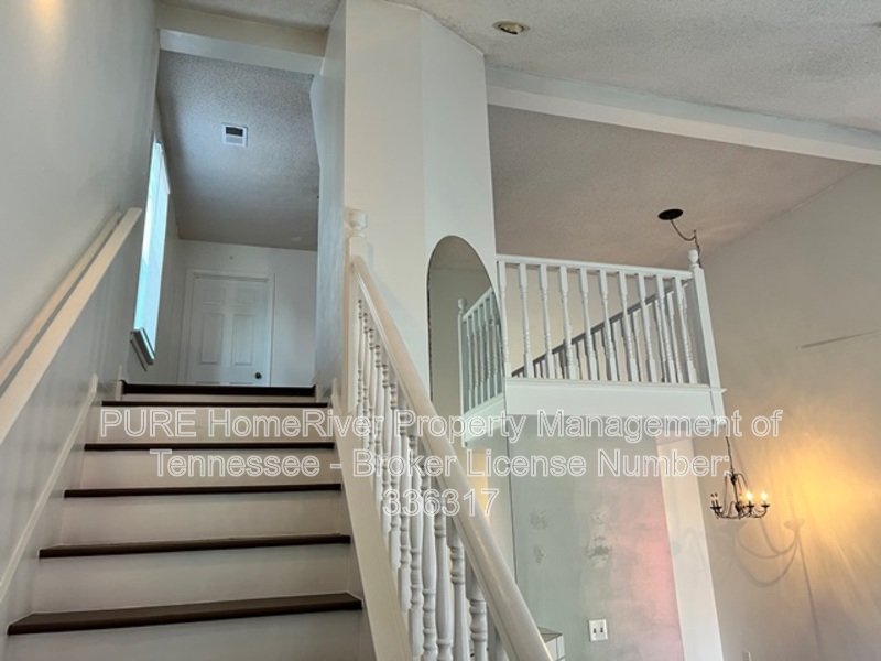 Cordova Zero-Lot | Pet Friendly property image